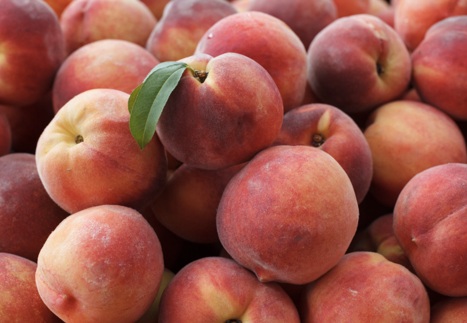 복숭아 효능과 제철