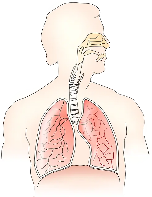 아데노 바이러스 증상