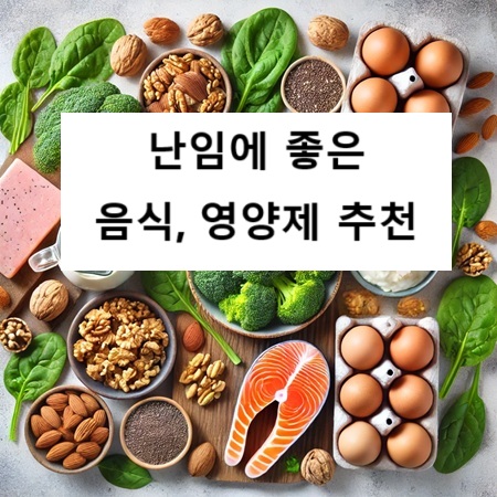 난임에 좋은 음식과 영양제 추천