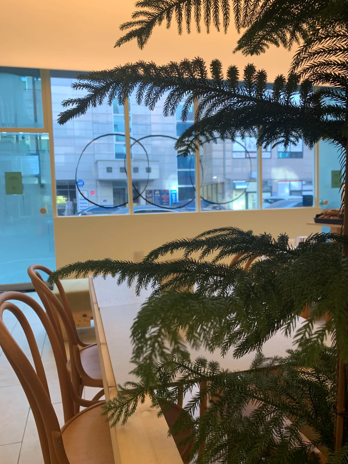 공세계-카페-내부-조화