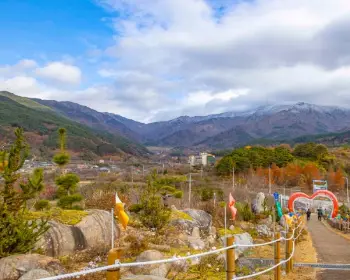 구례 산수유축제_31