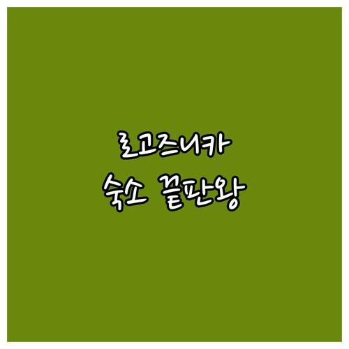 크로아티아 로고즈니카 프리모스텐 숙소..