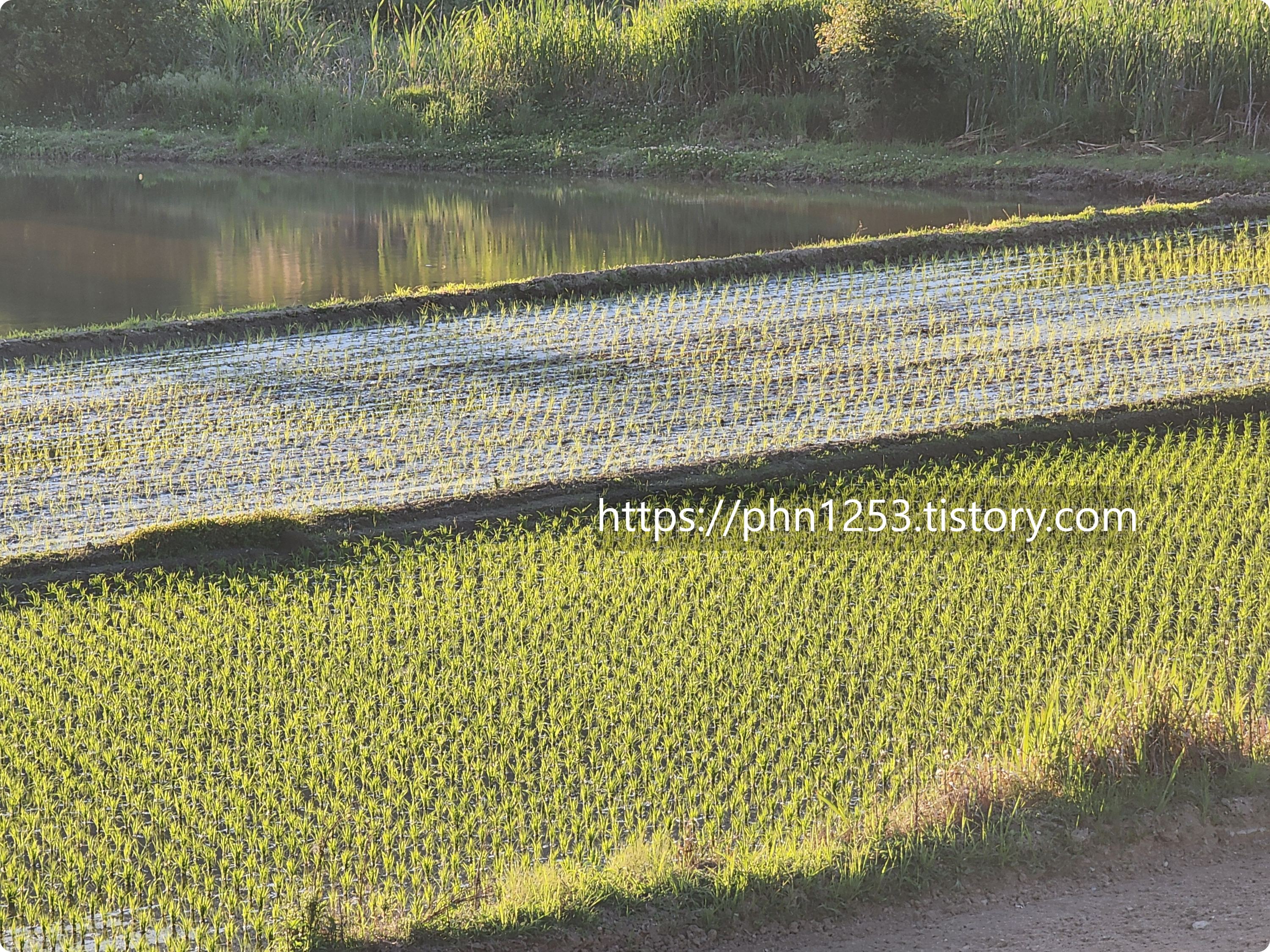 https://phn1253.tistory.com/