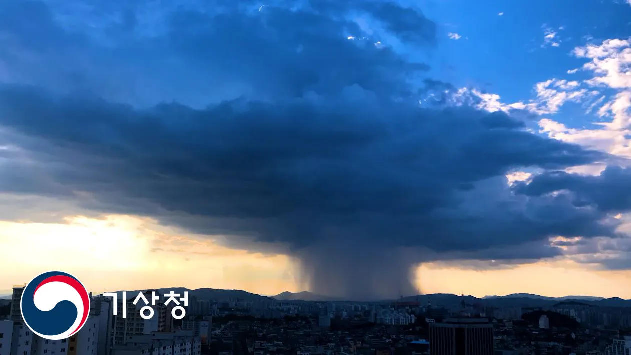 광주 소나기 가능성 비 올 때 운전 속도와 시야 확보_3