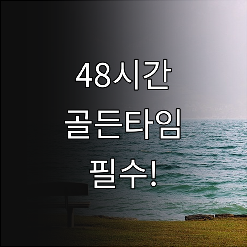 몽골항공 좌석 변경 48시간 전 골든..