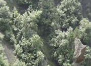 기초노령연금 수급자격 신청방법