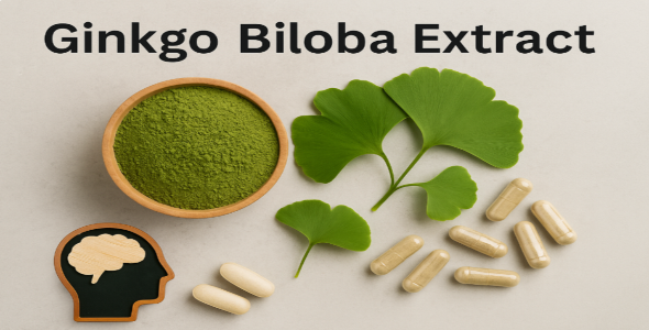 은행잎 추출물 (Ginkgo biloba) – 혈류 개선을 통한 인지 기능 보조