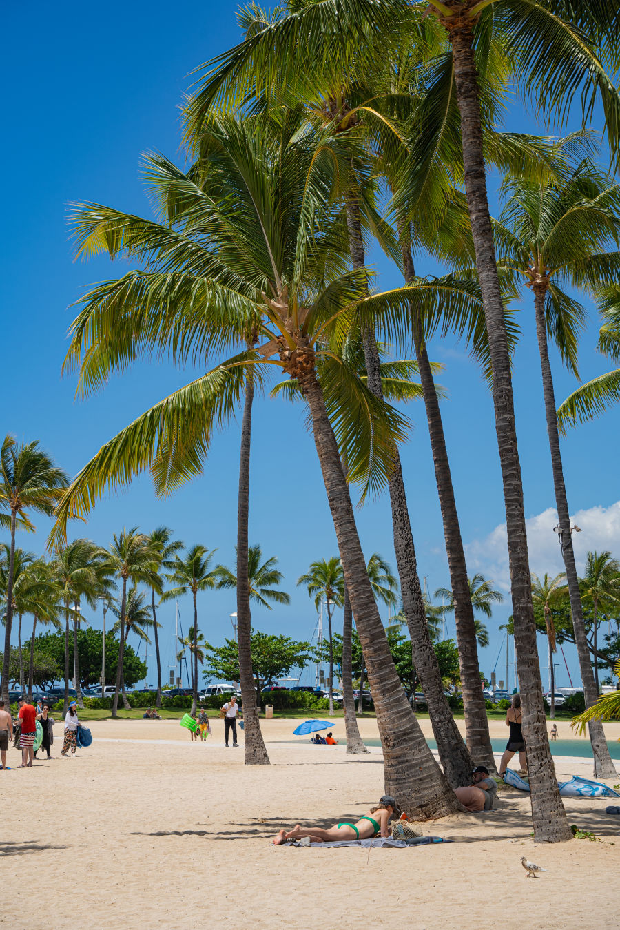 와이키키 해변 바다색