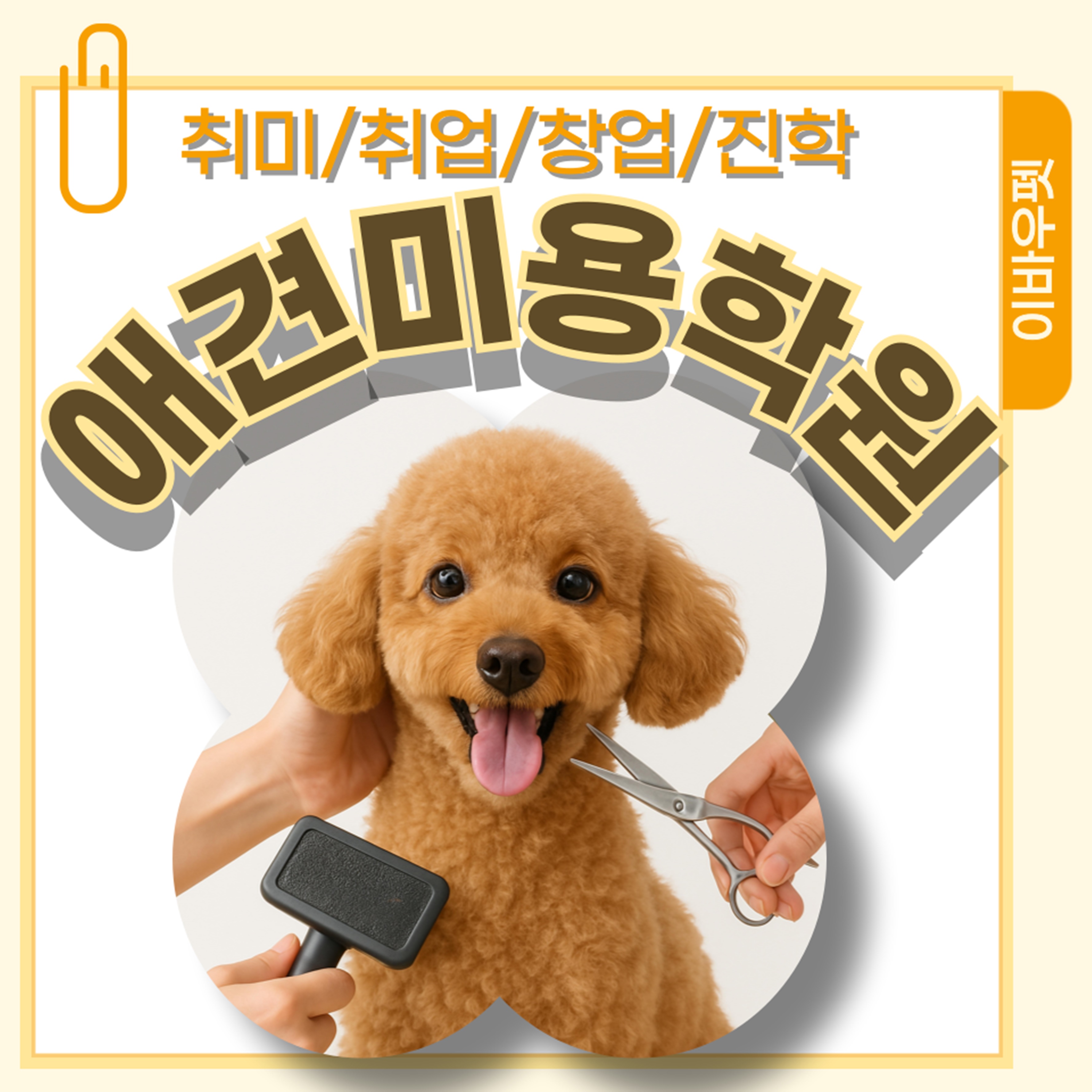 부산애견미용학원