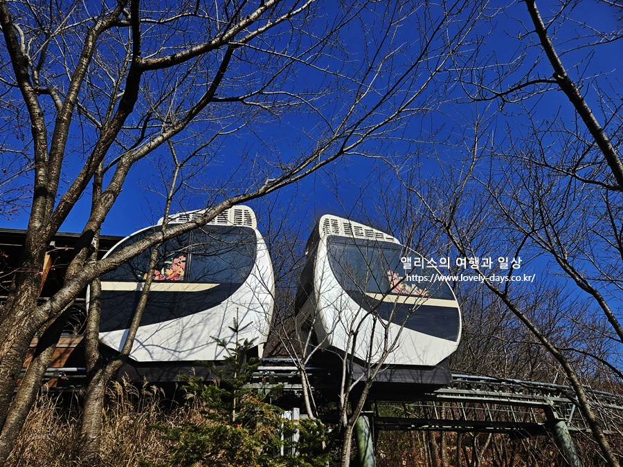 2025 화담숲 마지막 가을 단풍 화담채 분재 즐기기