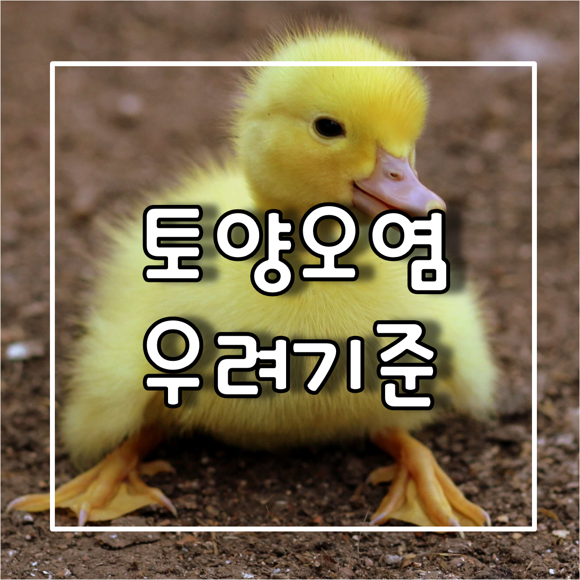 토양오염우려기준