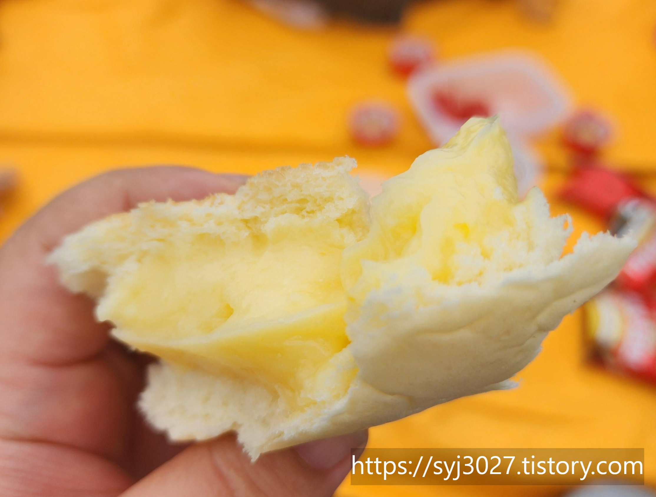 Alt 속성 문제 해결 설명 이미지