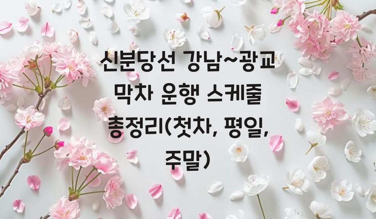 신분당선 강남~광교 막차 운행 스케줄