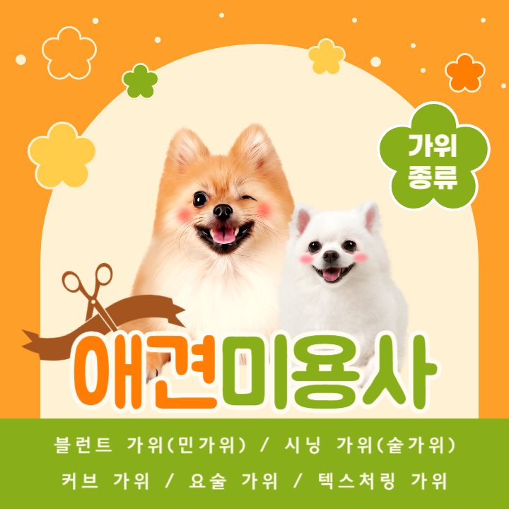 애견미용사 가위 종류 및 사용방법