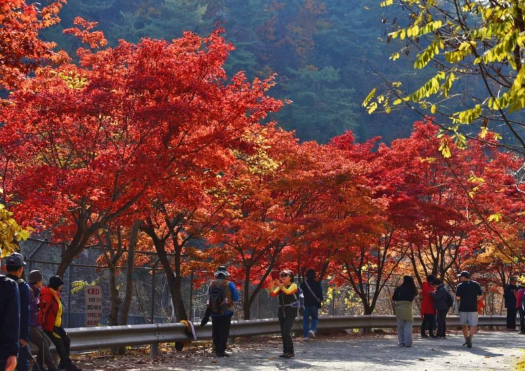 서울대 안양수목원 예약방법 완벽가이드