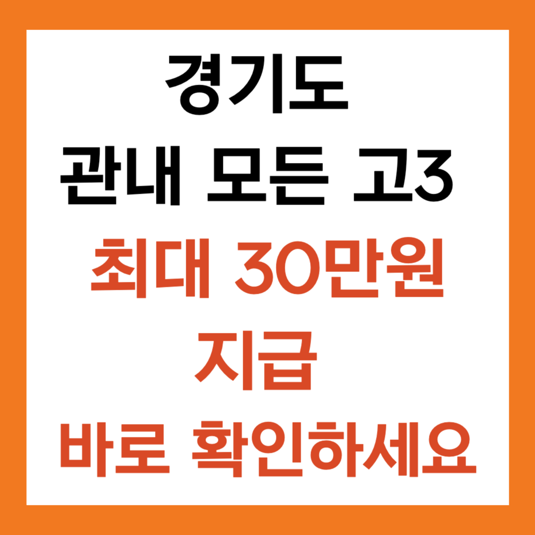 고3 30만원 지원 운전면허&middot;어학&middot;한국사 혜택 총정리