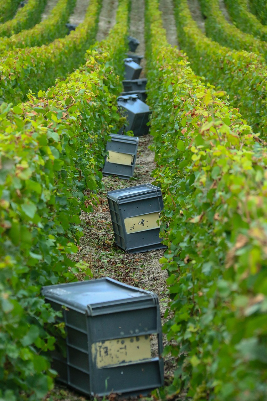산악지대 전용 소형 스마트팜 기술의 가능성과 미래