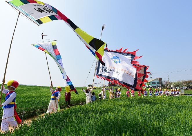 고창 청보리밭 축제 