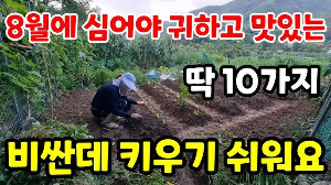 "8월
