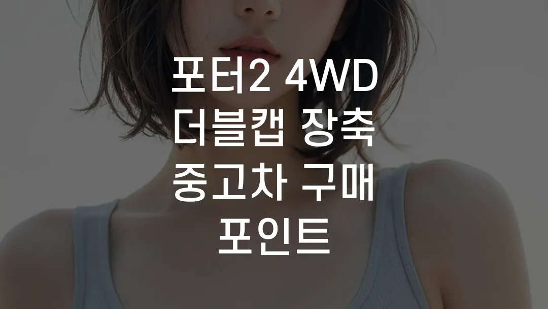 포터2 4WD 더블캡 장축 중고차 구매 포인트