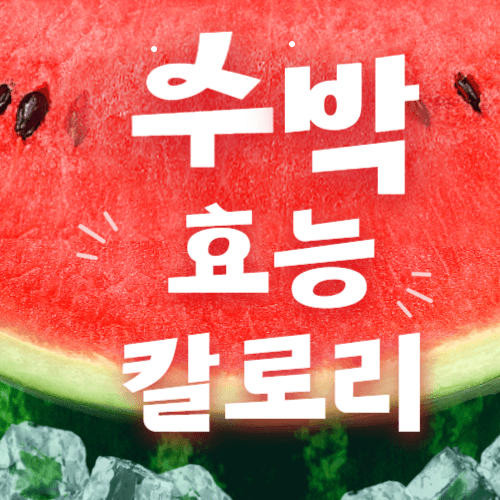 수박 블로그 메인