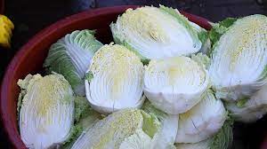 2023 김장 절임 배추 사전 예약 할인가 추천과 가격 비교하기