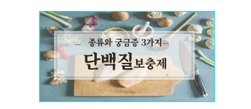 단백질-음식-사진