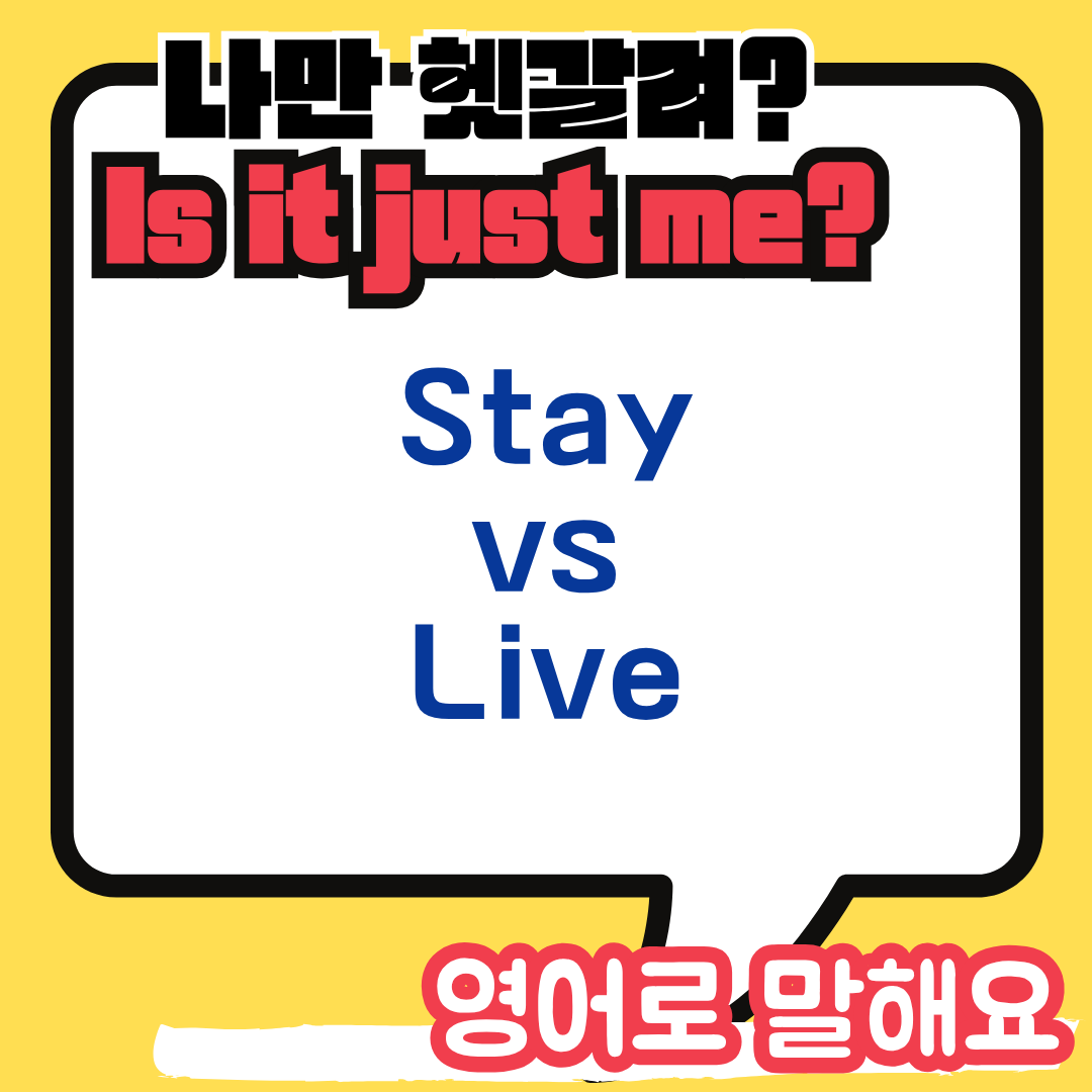 Stay와 Live 차이점