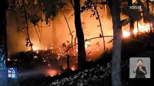 의성산불 실시간 CCTV로 안전 대피 준비