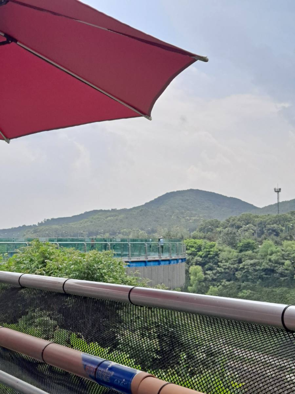 파라솔에서 바라본 마루