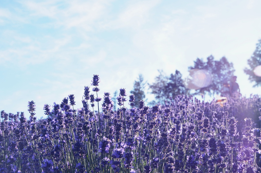 북해도 6월 날씨