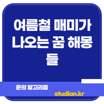 여름철 매미가 나오는 꿈 해몽들