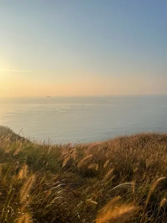 굴업도 여행 가는 방법 배시간표 민박집_24