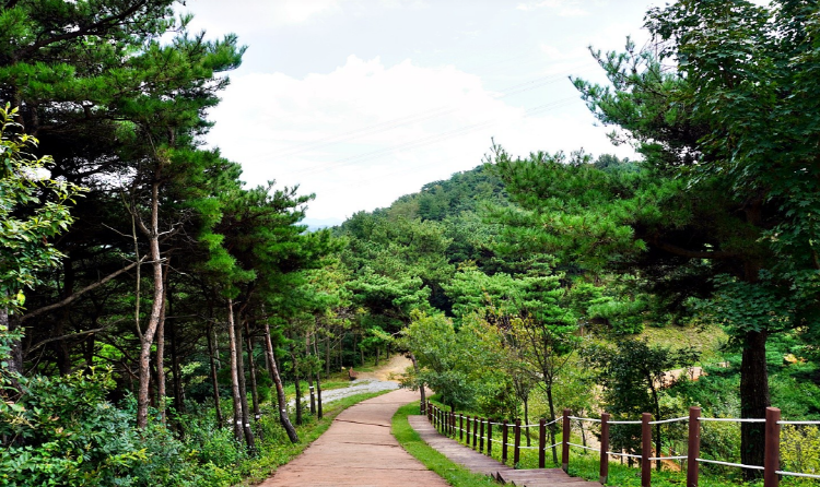 당진 삼선산수목원
