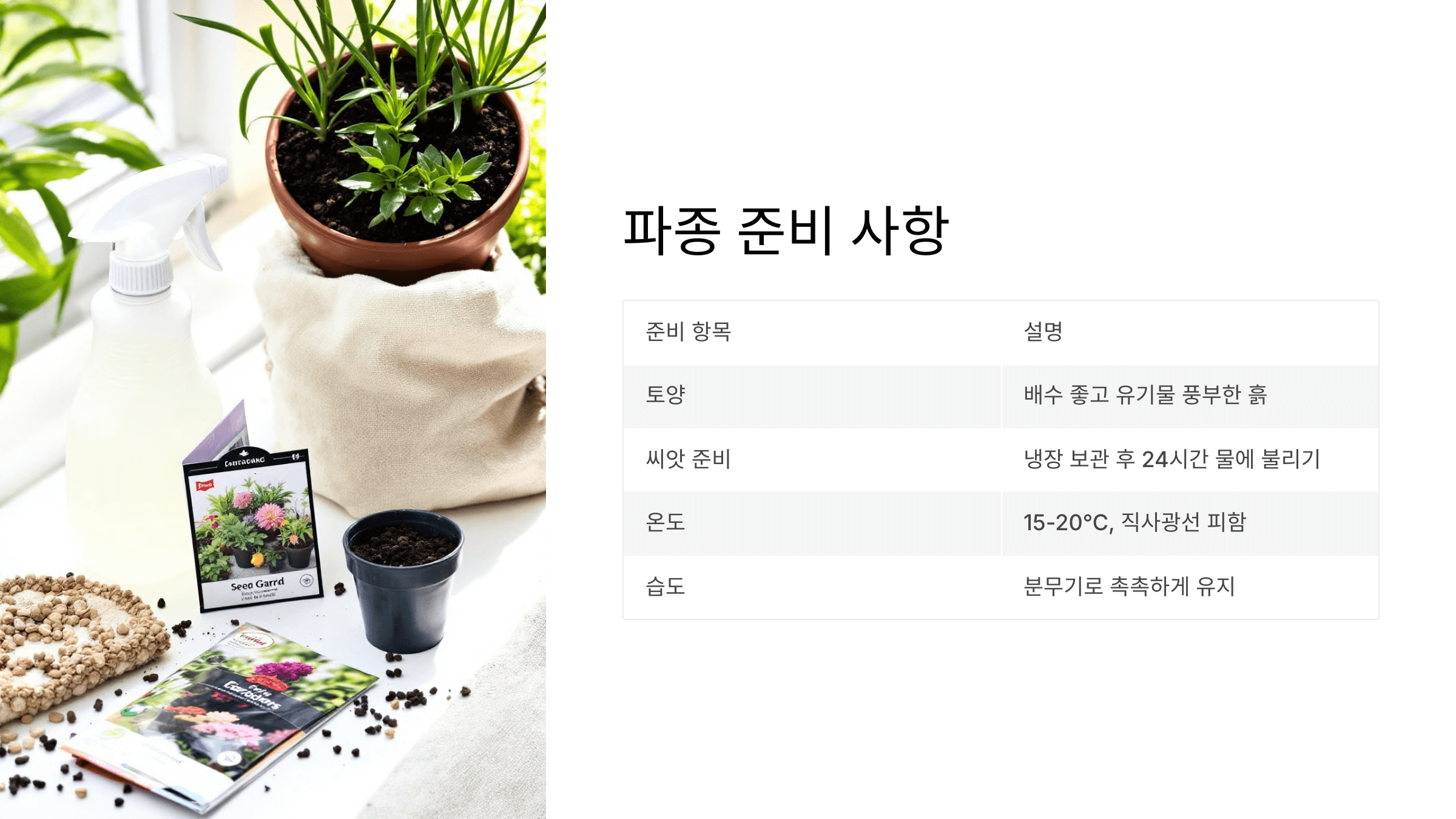 흰민들레 사진입니다.