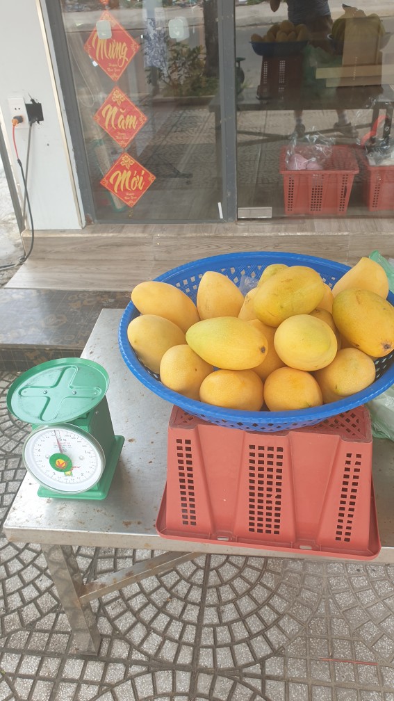 다낭 망고, 다낭 환전 팁