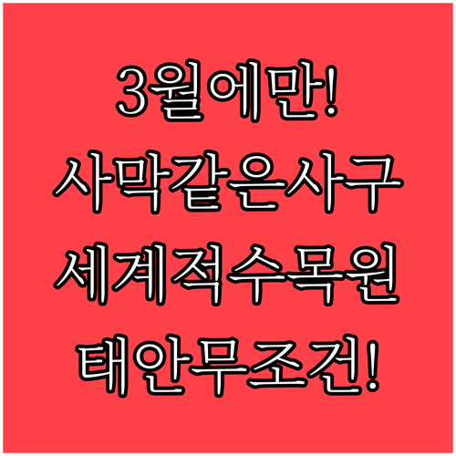 신비로운 해안사구와 세계적 수목원이 ..