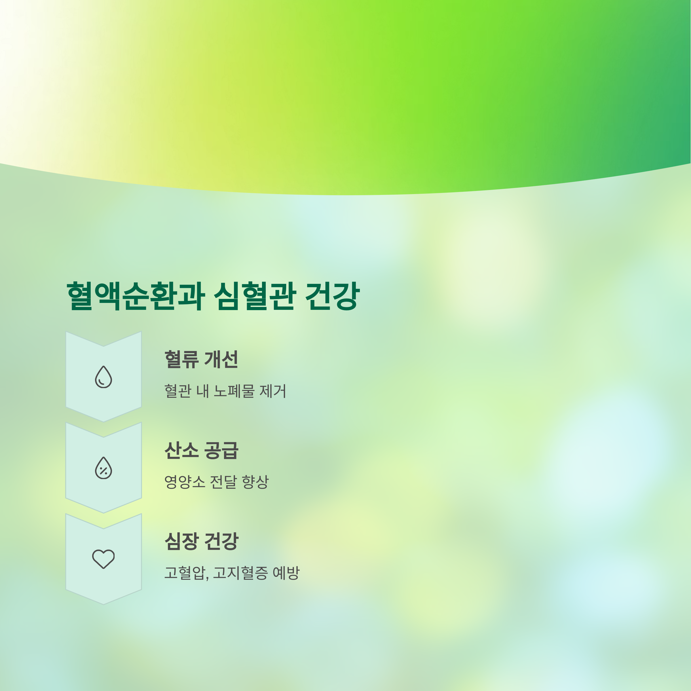 혈액순환 개선과 심혈관 건강까지 동시에