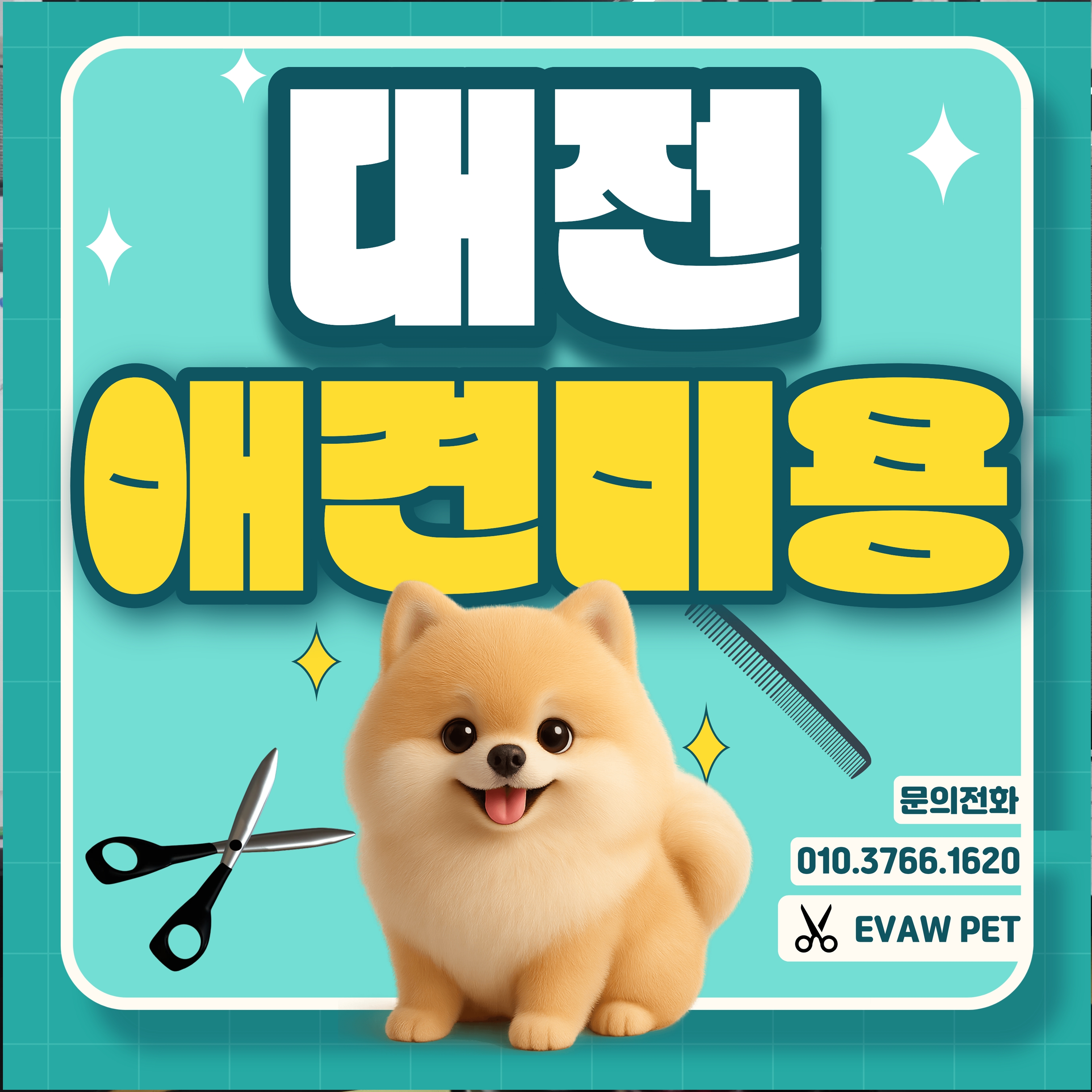 대전애견미용학원국비