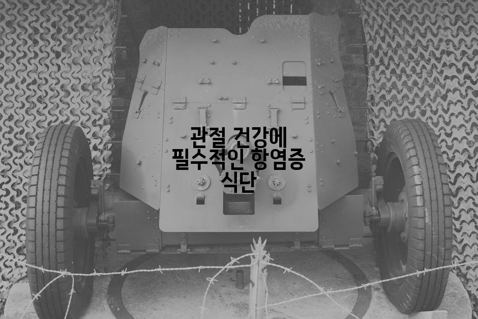 관절 건강에 필수적인 항염증 식단