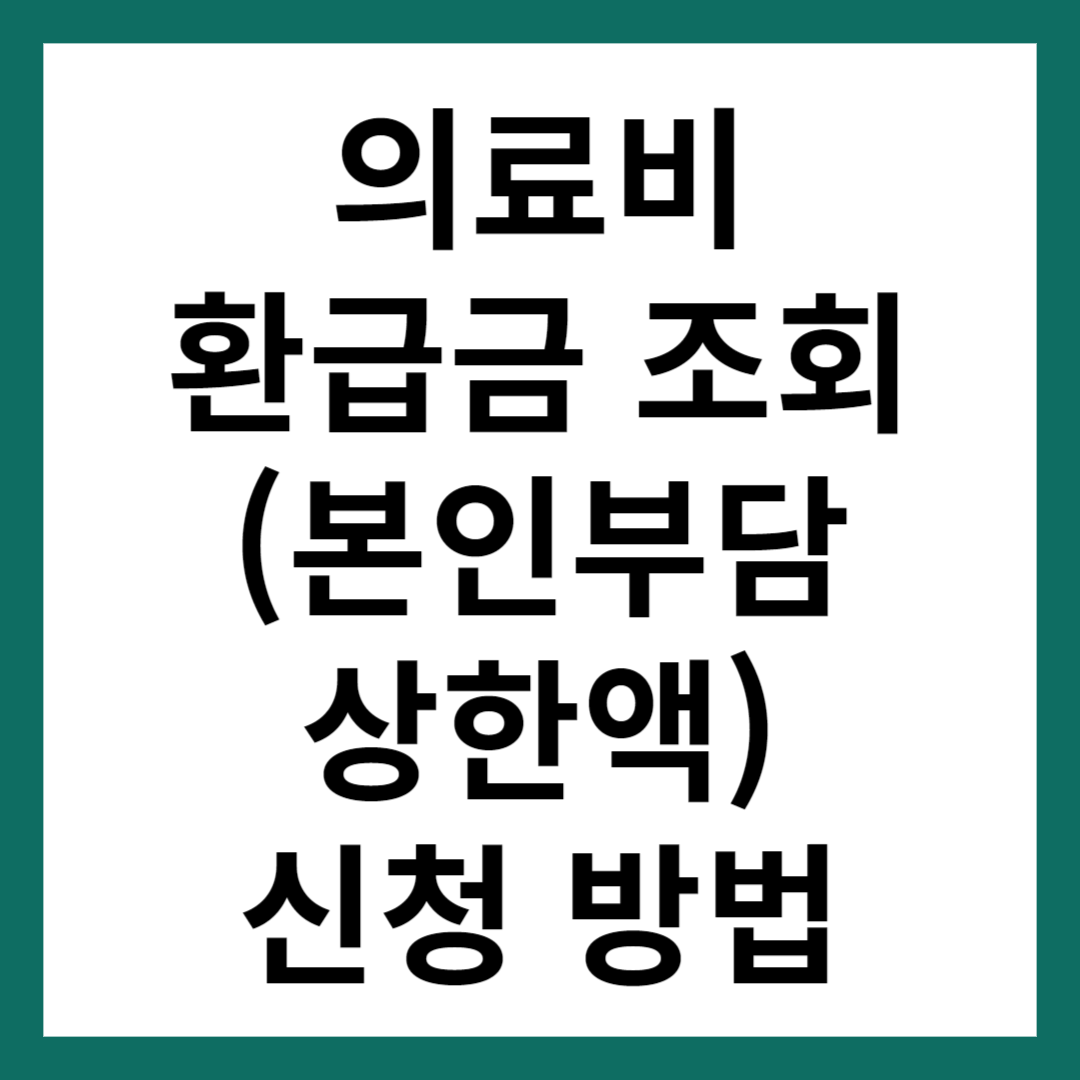 의료비 환급금 조회 본인부담 상한액