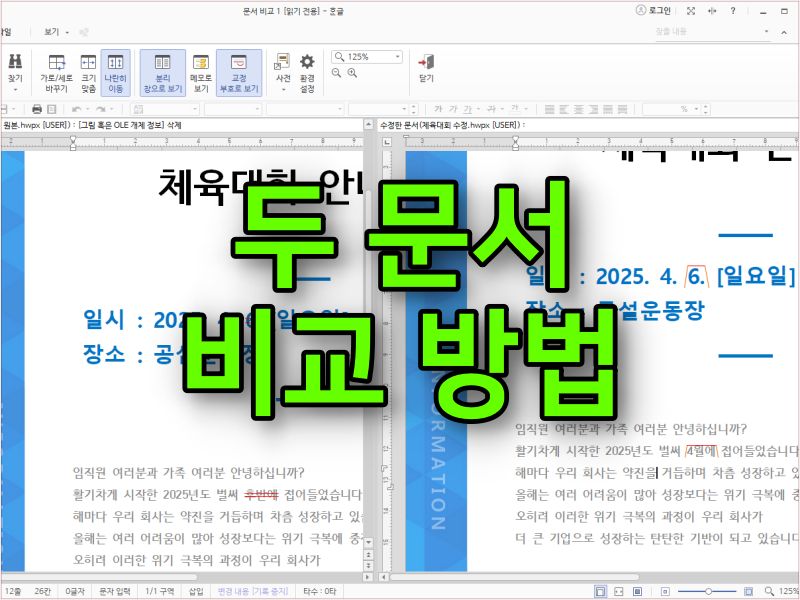 한글 두 개의 문서 비교 방법