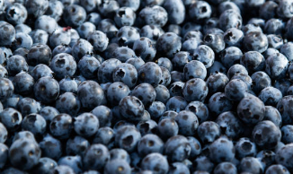블루베리