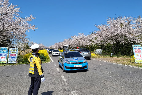 전국 벚꽃 봄꽃 축제 추천 Best 5