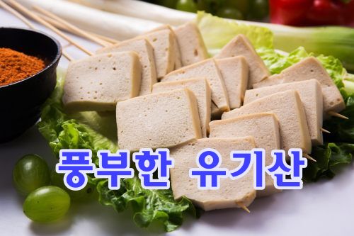 두부의 풍부한유기산