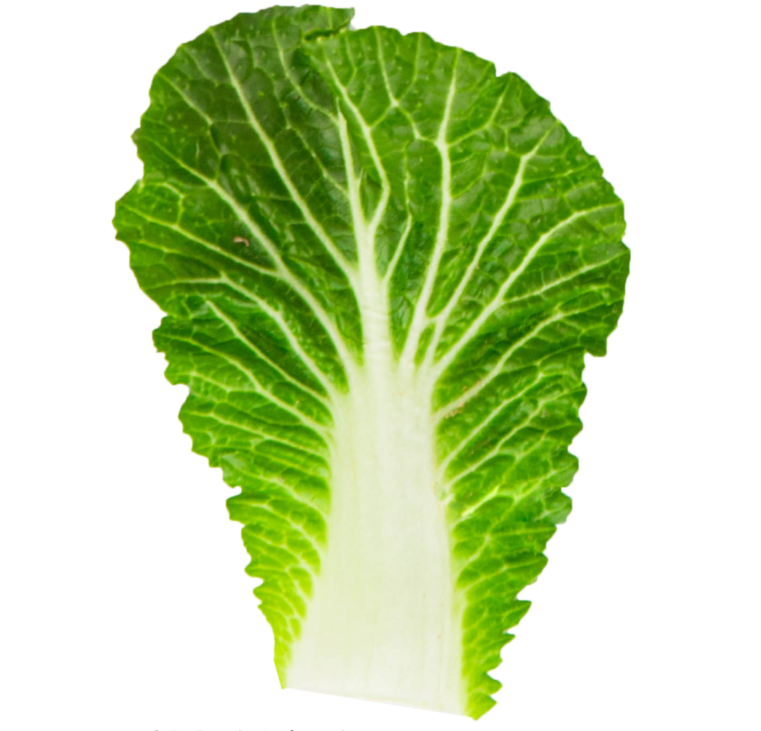 2월 제철음식 봄동 알아보기