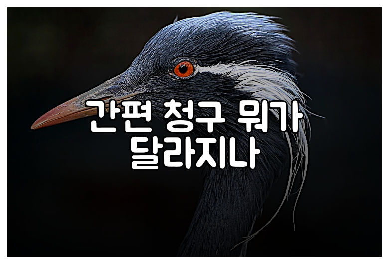 간편 청구 뭐가 달라지나