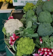 콜리플라워 효능 성분 먹는방법 부작용 고르는법