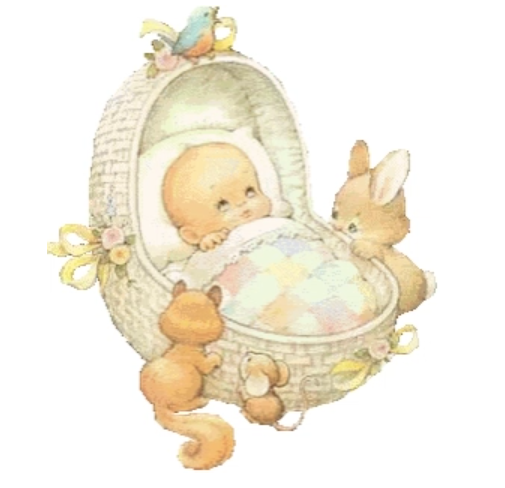 모성간호-분만의-3요소