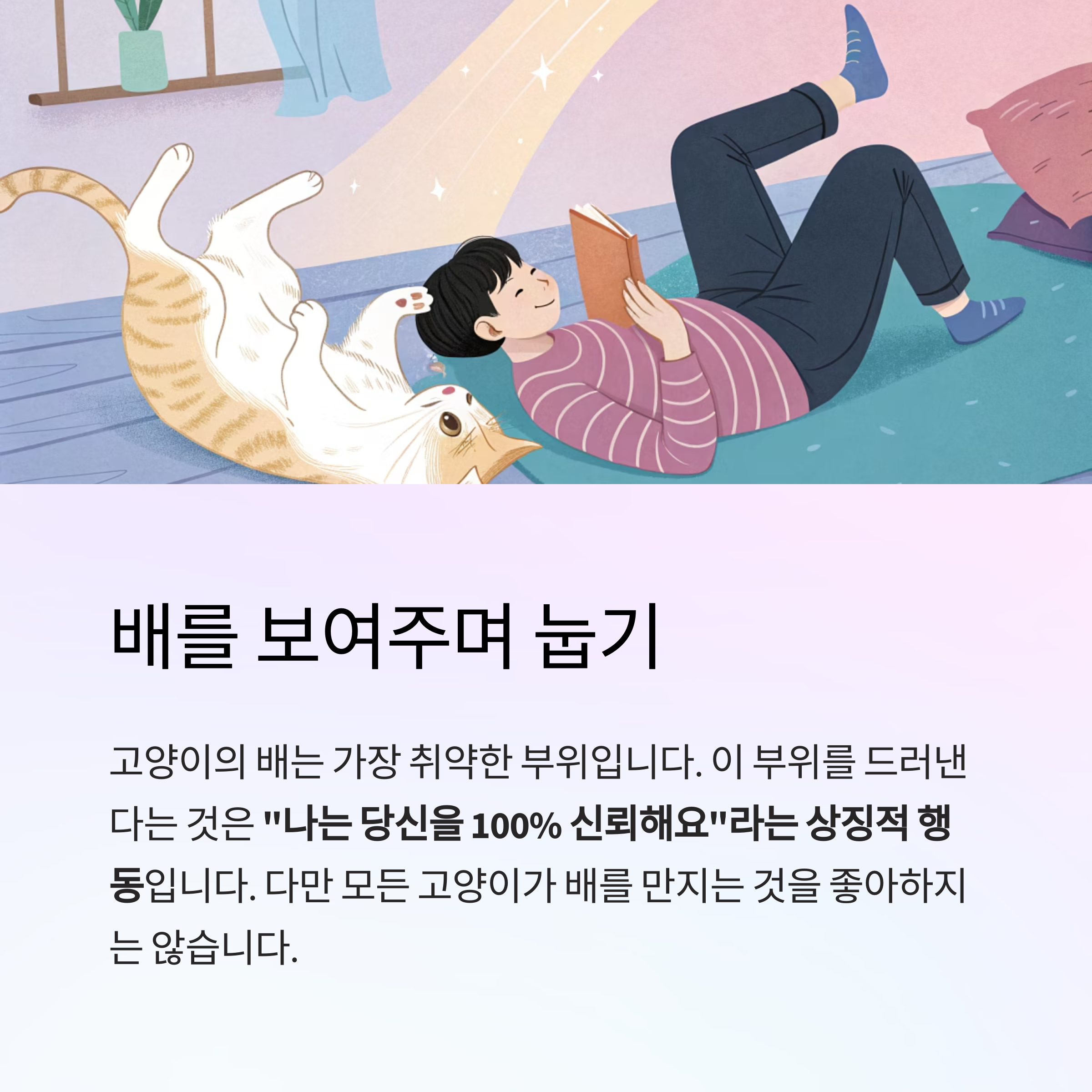 배를 보여주며 눕기